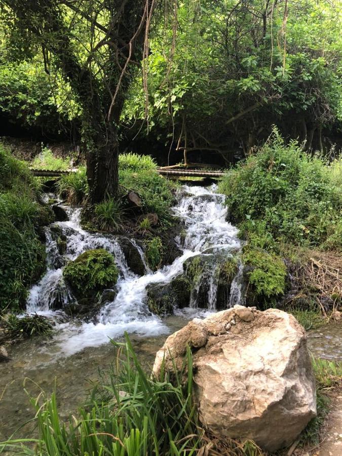 El Almendro De Fuentes Nuevas Villa Castril Kültér fotó