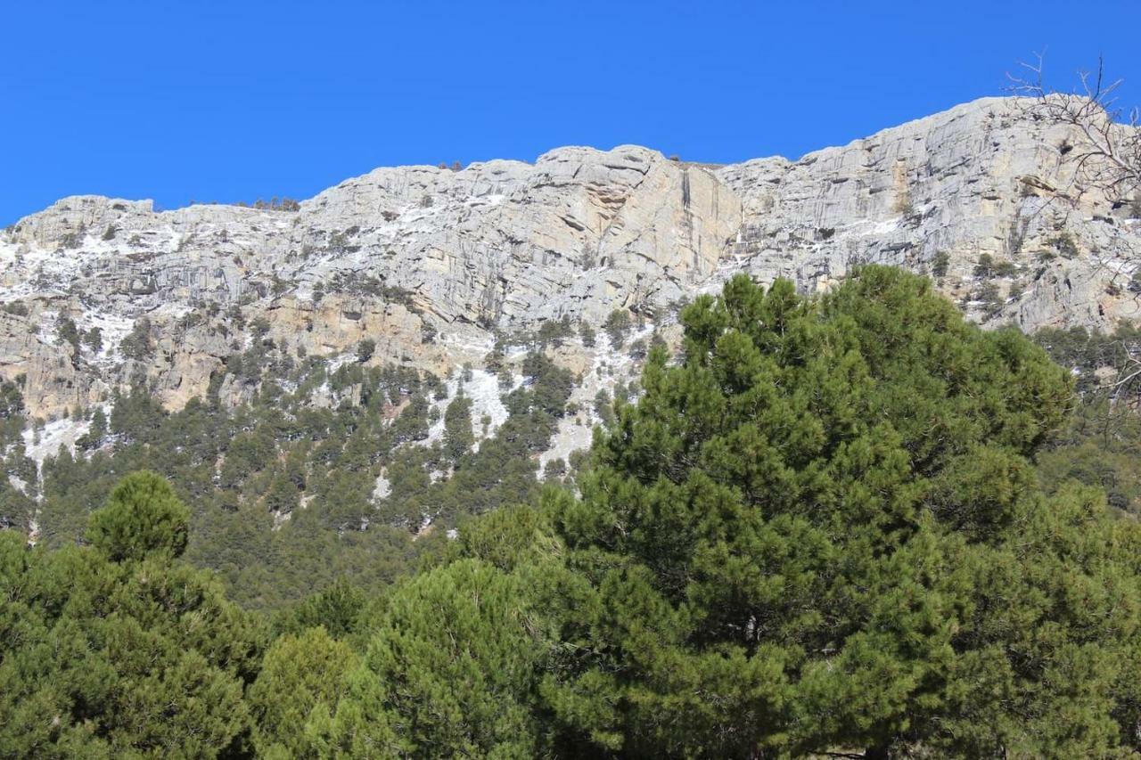 El Almendro De Fuentes Nuevas Villa Castril Kültér fotó
